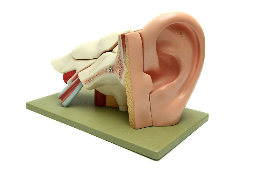 Как вернуть слух при тугоухости